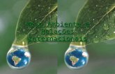 Meio Ambiente e Relações Internacionais. Os Agrotóxicos.