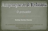 XX JORNADA DOCENTE DO SERVIÇO PHÝSIS DE HOMEOPATIA DO IMH Novembro 2009 Rodrigo Martins Pimenta.