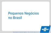 Especialistas em pequenos negócios / 0800 570 0800 / sebrae.com.br Pequenos Negócios no Brasil.