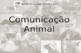 Escola Secundária Ferreira Dias. Comunicação significa "partilhar, participar algo, tornar comum". Através da comunicação, os seres humanos e os animais.
