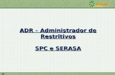 ADR – Administrador de Restritivos SPC e SERASA. ADR – Administrador de Restritivos Plano de ação na Cooperativa: TarefaResponsávelData Definição da forma.