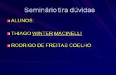 Seminário tira dúvidas ALUNOS: THIAGO WINTER MACINELLI RODRIGO DE FREITAS COELHO.