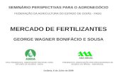 AMA BRASIL SEMINÁRIO PERSPECTIVAS PARA O AGRONEGÓCIO FEDERAÇÃO DA AGRICULTURA DO ESTADO DE GOIÁS - FAEG Goiânia, 6 de Julho de 2009 MERCADO DE FERTILIZANTES.