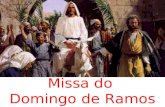 Missa do Domingo de Ramos. CANTO DE ENTRADA Acolhida e Bênção dos Ramos.