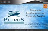 1 Carlos Fernando Costa Gerente Executivo de Planejamento de Investimentos Demanda Institucional por Risco de Crédito.