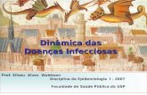 1 Dinâmica das Doenças Infecciosas Prof. Eliseu Alves Waldman Disciplina de Epidemiologia I - 2007 Faculdade de Saúde Pública da USP.