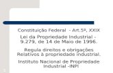 1 Constituição Federal - Art.5º, XXIX Lei da Propriedade Industrial - 9.279, de 14 de Maio de 1996. Regula direitos e obrigações Relativos à propriedade.