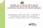 GOVERNO DO ESTADO DE MATO GROSSO SECRETARIA DE ESTADO DE EDUCAÇÃO SECRETARIA EXECUTIVA DO NÚCLEO EDUCAÇÃO ORIENTAÇOES PRÁTICAS PARA EXECUÇÃO E PRESTAÇÃO.
