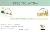 1 Maio - 2011 CICLO BIOGEOQUÍMICOS - Fundamentos ETEC TIQUATIRA Prof. José Barbosa Leite Filho Prof. Marlon Cavalcante Maynart Química Ambiental.