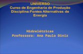 Hidrelétricas Professora: Ana Paula Diniz. Objetivos da aula Conhecer o processo de implantação e funcionamento das hidrelétricas; Identificar os impactos.