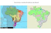 Domínios morfoclimáticos do Brasil. Distribuição dos biomas do Brasil.