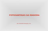 FOTOSANTIGAS DA MADEIRA RIC THE BEST Produções, Lda.