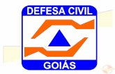 A DEFESA CIVIL DE GOIÁS BREVE HISTÓRICO Criada em 20 de maio de 1977, através do Decreto n.º 1.242 que dispôs sobre o Sistema Estadual de Defesa Civil.