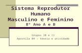 Sistema Reprodutor Humano Masculino e Feminino 8º Ano A e B Grupos 10 e 11 Apostila 04 – teoria e atividade.