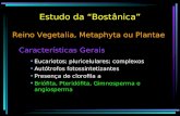 Estudo da “Bostânica” Reino Vegetalia, Metaphyta ou Plantae Características Gerais Eucariotos; pluricelulares; complexos Autótrofos fotossintetizantes.