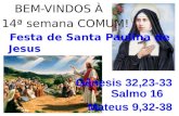 BEM-VINDOS À 14ª semana COMUM! Festa de Santa Paulina de Jesus.