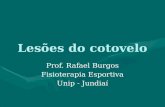Lesões do cotovelo Prof. Rafael Burgos Fisioterapia Esportiva Unip - Jundiaí.