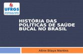 HISTÓRIA DAS POLÍTICAS DE SAÚDE BUCAL NO BRASIL Aline Blaya Martins.