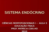 SISTEMA ENDÓCRINO CIÊNCIAS MORFOFUNCIONAIS I – AULA 3 EDUCAÇÃO FÍSICA PROF. PATRÍCIA COELHO 2012.