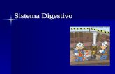 Sistema Digestivo. Organização do Sistema Digestório.