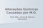 Alterações Químicas Causadas por M.O. Prof. MSc. Aline M. Barros-Marcellini.