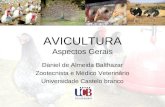 AVICULTURA Aspectos Gerais Daniel de Almeida Balthazar Zootecnista e Médico Veterinário Universidade Castelo branco.