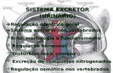 SISTEMA EXCRETOR (URINÁRIO)  Regulação osmótica geral  Sistema excretor nos vertebrados  Rins: morfologia e funcionamento  Regulação hormonal  Distúrbios.