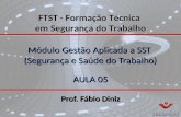 Módulo Gestão Aplicada a SST (Segurança e Saúde do Trabalho) AULA 05 Prof. Fábio Diniz FTST - Formação Técnica em Segurança do Trabalho.