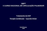 Tratamento da HAP Terapia Combinada – Quando iniciar Daniel Waetge UFRJ SBPT II CURSO NACIONAL DE CIRCULAÇÃO PULMONAR.