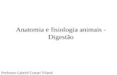 Anatomia e fisiologia animais - Digestão Professor Gabriel Cestari Vilardi.