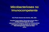 Micobacterioses no Imunocompetente Ana Paula Gomes dos Santos, MD, MSc Hospital Universitário Clementino Fraga Filho / Instituto de Doenças do Tórax Laboratório.