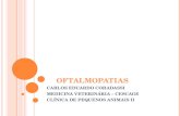 OFTALMOPATIAS CARLOS EDUARDO CORADASSI MEDICINA VETERINÁRIA – CESCAGE CLÍNICA DE PEQUENOS ANIMAIS II.