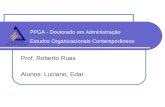 PPGA - Doutorado em Administração Estudos Organizacionais Contemporâneos Prof. Roberto Ruas Alunos: Luciano, Edar.