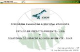 Www.mineral.eng.br SEMINÁRIO AVALIAÇÃO AMBIENTAL CONJUNTA ESTUDO DE IMPACTO AMBIENTAL – EIA e RELATÓRIO DE IMPACTO AO MEIO AMBIENTE - RIMA Caraguatatuba.