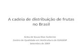 A cadeia de distribuição de frutas no Brasil Anita de Souza Dias Gutierrez Centro de Qualidade em Horticultura da CEAGESP Setembro de 2009.