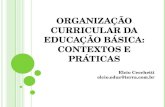 ORGANIZAÇÃO CURRICULAR DA EDUCAÇÃO BÁSICA: CONTEXTOS E PRÁTICAS Elcio Cecchetti elcio.educ@terra.com.br.