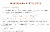 INTRODUÇÃO À ECOLOGIA O que é ecologia? Deriva do grego “oikos” com sentido de casa e “logos” que significa estudo. O que fazem os ecólogos? Supervisionam.