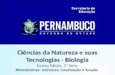 Ciências da Natureza e suas Tecnologias - Biologia Ensino Médio, 1ª Série Mitocôndrias: estrutura, localização e função.