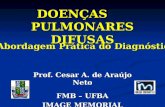 DOENÇAS PULMONARES DIFUSAS Prof. Cesar A. de Araújo Neto FMB – UFBA IMAGE MEMORIAL Abordagem Prática do Diagnóstico.