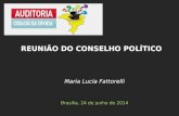 Maria Lucia Fattorelli Brasília, 24 de junho de 2014 REUNIÃO DO CONSELHO POLÍTICO.