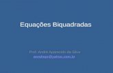 Equações Biquadradas Prof. André Aparecido da Silva anndrepr@yahoo.com.br.