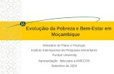 Evolu ção da Pobreza e Bem-Estar em Moçambique Ministério do Plano e Finanças Instituto Internacional de Pesquisas Alimentares Purdue University Apresentação.