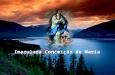 Imaculada Conceição de Maria O dogma da Imaculada Conceição de Maria é um dos dogmas mais queridos ao coração do povo cristão. Os dogmas da Igreja são.