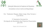 Detecção Molecular de Espécies de Riquetsias Circulantes no Sul e Centro de Moçambique Por: Vlademiro Magaia, Nidia Cangi, Elisa Taviani e Luis Neves 5º.