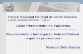 Ciclo Permanente de Palestras Representação e Investigação Judicial Eleitoral - aspectos processuais - Marcus Cléo Garcia Tribu nal Regional Eleitoral.