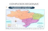COMPLEXOS REGIONAIS. AMAZÔNIA Área – 5 milhões de Km², compreende 58% do território nacional Além da região Norte do IBGE, abrange parte dos estados de.