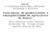 AM020C A interface entre Meio Ambiente, Sociedade e Economia Indicadores de produtividade e empregabilidade da agricultura do Brasil. Aluna Andressa Santos.