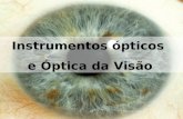 Instrumentos ópticos e Óptica da Visão. Lupa ou microscópio simples.