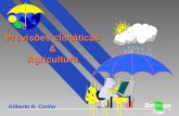 Previsões climáticas &Agricultura Gilberto R. Cunha.