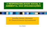 Joselito Santos Abrantes Dr. Desenvolvimento Socioambiental Fev/2014 A RESPONSABILIDADE SOCIAL E AMBIENTAL NAS ORGANIZAÇÕES.